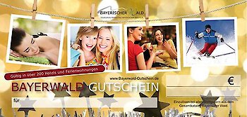 Gutschein-Shop als „Gelddruckmaschine“